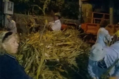 12109949_1639100023045694_538699984049619369_o