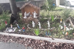 131622433_2860385684250449_8011591856624503739_n